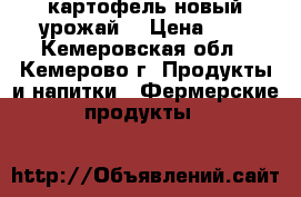 картофель новый урожай  › Цена ­ 8 - Кемеровская обл., Кемерово г. Продукты и напитки » Фермерские продукты   